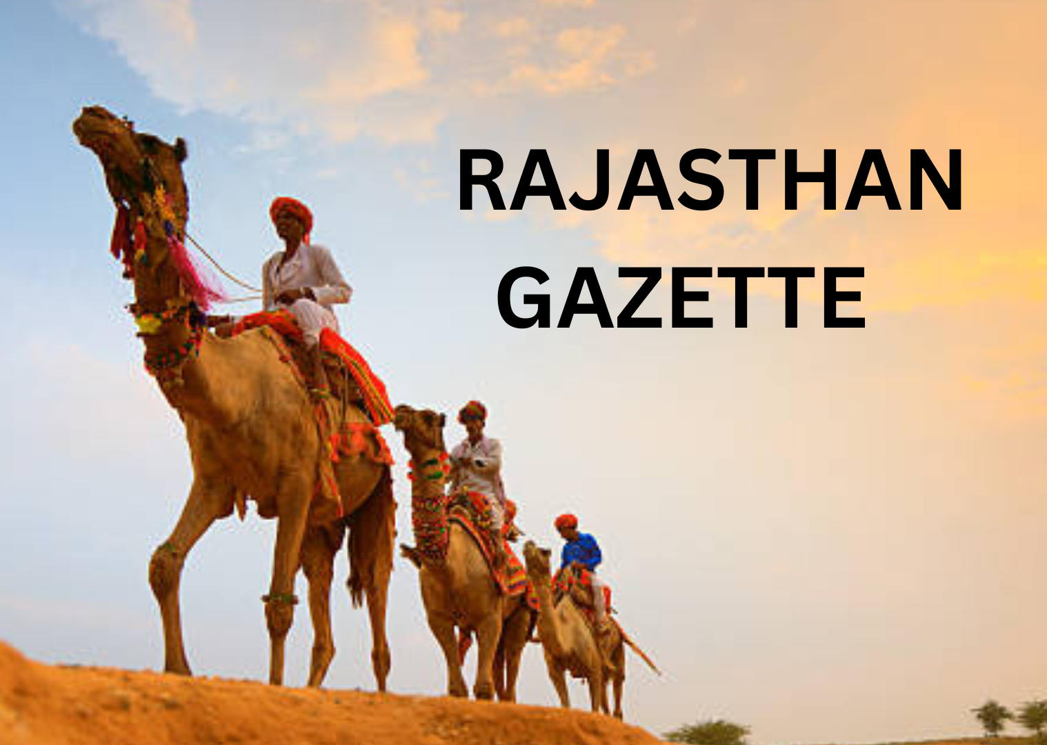 rajasthan gazette